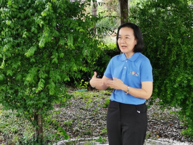 พาณิชย์ดันเกษตรกรปลูกไม้ยืนต้นสร้างหลักประกัน
