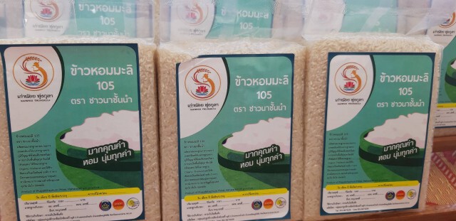 กรมการข้าวติวเข้มศูนย์ข้าวชุมชนทุ่งกุลาร้องไห้หวังเพิ่มศักยภาพผลิตข้าวหอมมะลิอินทรีย์ภาคอีสาน