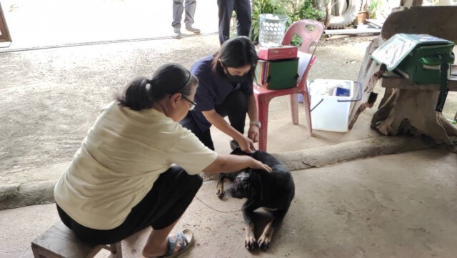 ล่า! มือมีดฟันหัวหมา "เลือดอาบ"