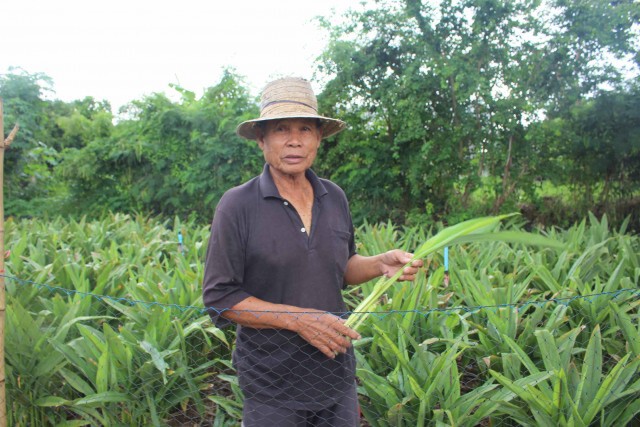 เกษตรกรเห็นด้วยเก็บสารพาราควอต