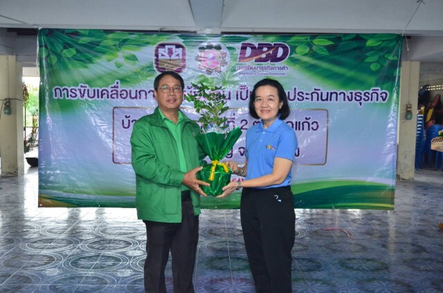 พาณิชย์ดันเกษตรกรปลูกไม้ยืนต้นสร้างหลักประกัน