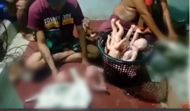 โซเชียลแฉ ชายแต่งตัวคล้ายหมอผี ทำตุ๊กตายัดเถ้ากระดูกคนส่งออกขาย