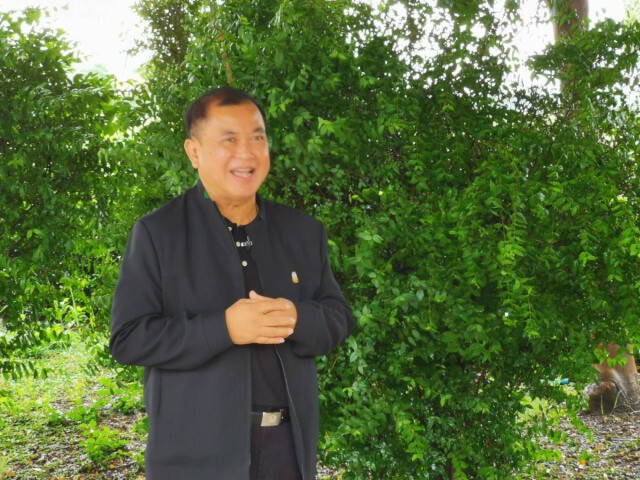 พาณิชย์ดันเกษตรกรปลูกไม้ยืนต้นสร้างหลักประกัน