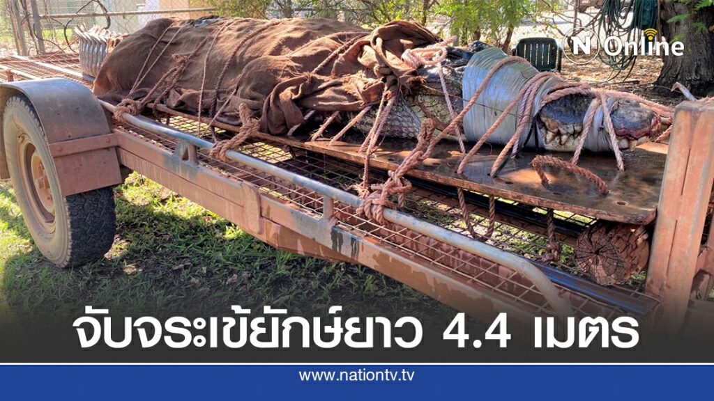 ออสเตรเลียจับจระเข้ยักษ์ใกล้จุดท่องเที่ยว ออสเตรเลียจับจระเข้ยักษ์ใกล้จุดท่องเที่ยว