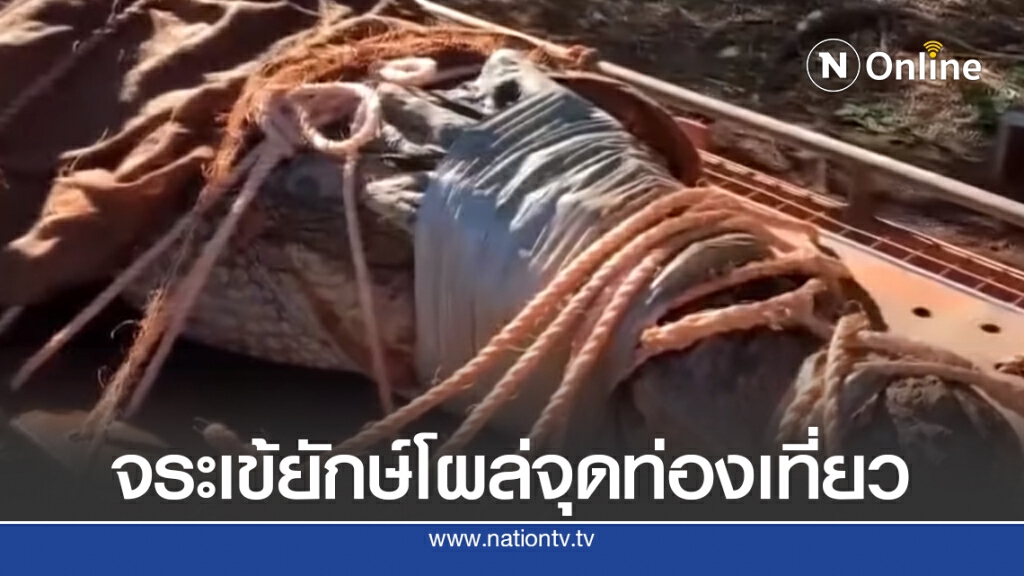 ออสเตรเลียจับจระเข้ยักษ์ใกล้จุดท่องเที่ยว ออสเตรเลียจับจระเข้ยักษ์ใกล้จุดท่องเที่ยว