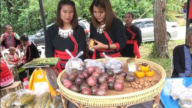 จัด"จิบกาแฟ แลผาผึ้ง สัมผัสวัฒนธรรม 2 ชนเผ่า"