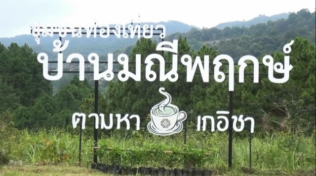 จัด"จิบกาแฟ แลผาผึ้ง สัมผัสวัฒนธรรม 2 ชนเผ่า"