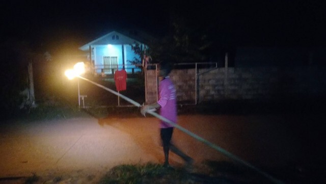 จับต่อหัวเสือหนีฝนทำรังใต้ต้นไม้ในบ้าน