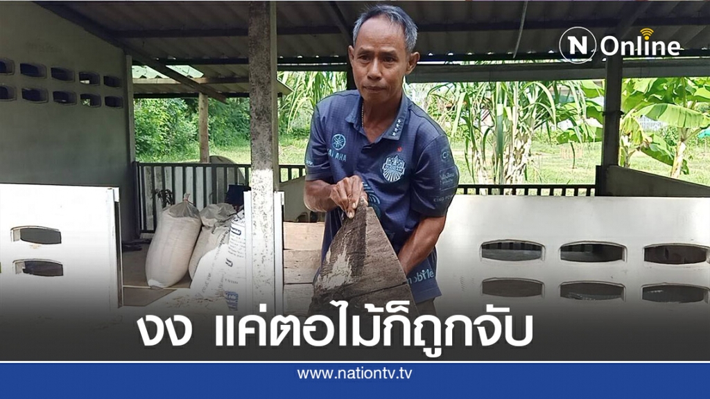 หนุ่มใหญ่ช้ำใจแค่เอาตอไม้เก่าไปทำที่นั่งแต่ถูกจับ