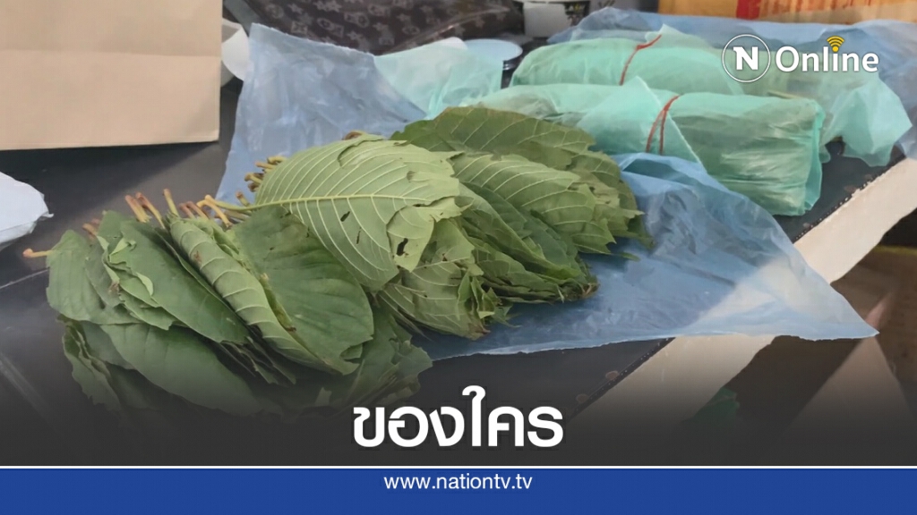 "ใบกระท่อม" ใครสั่งซื้อส่งทางพัสดุ "ใบกระท่อม" ใครสั่งซื้อส่งทางพัสดุ