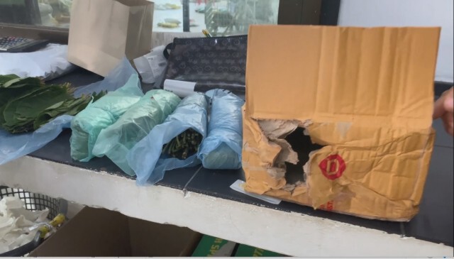 "ใบกระท่อม" ใครสั่งซื้อส่งทางพัสดุ