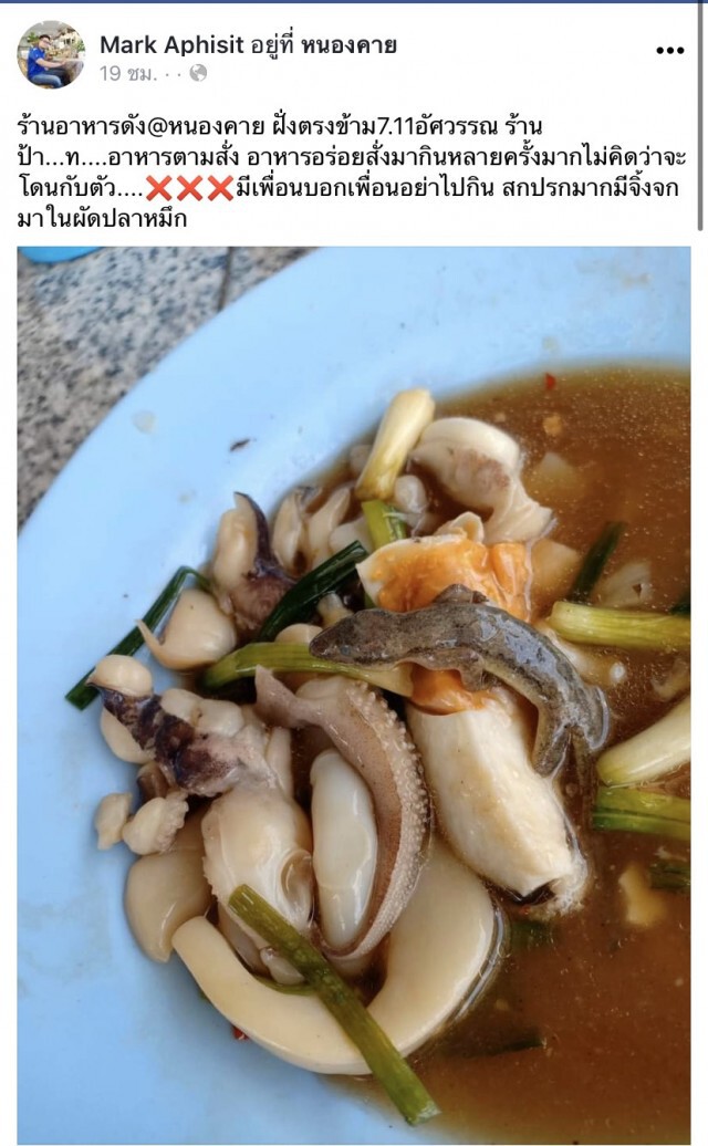 ลูกค้าหัวร้อน สั่งผัดปลาหมึกแถมผัดจิ้งจก ลั่น อาหารอร่อยสั่งมากินหลายครั้งมาก