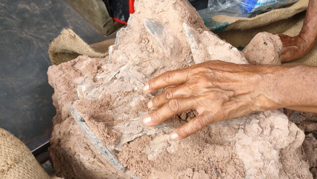 ขุดไหโบราณ1,500ปีเก็บพิพิธภัณฑ์พิมาย