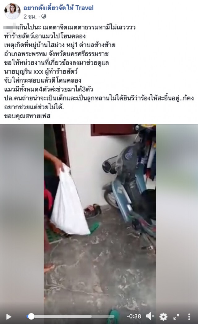 ชายจับแมวใส่กระสอบทุบตี แล้วโยนคลอง คนถ่ายคลิปสะอื้นหนัก ไม่ใช่แค่ตัวเดียว