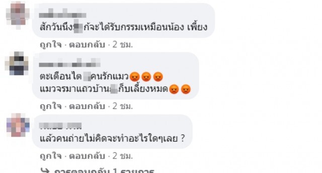 ชายจับแมวใส่กระสอบทุบตี แล้วโยนคลอง คนถ่ายคลิปสะอื้นหนัก ไม่ใช่แค่ตัวเดียว