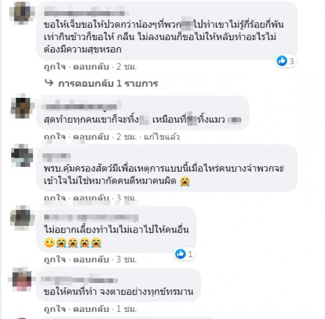 ชายจับแมวใส่กระสอบทุบตี แล้วโยนคลอง คนถ่ายคลิปสะอื้นหนัก ไม่ใช่แค่ตัวเดียว