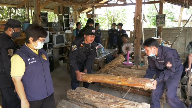 ผู้ว่าฯหมูป่าขยายผลจับยาบ้า-ได้ไม้เถื่อนอื้อ