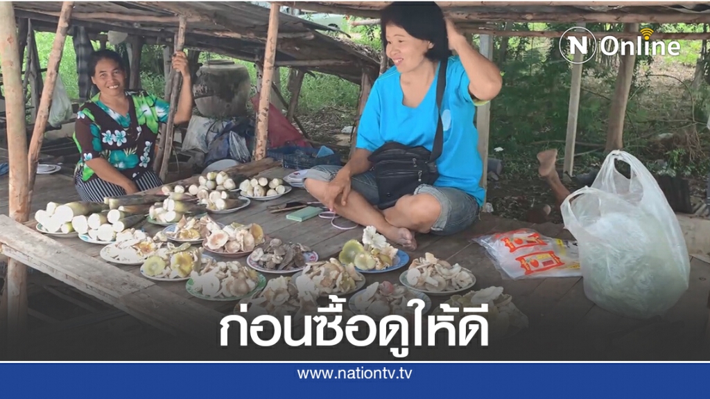 เตือนปชช.เก็บเห็ดป่ามาแกงตรวจสอบให้ดี เตือนปชช.เก็บเห็ดป่ามาแกงตรวจสอบให้ดี