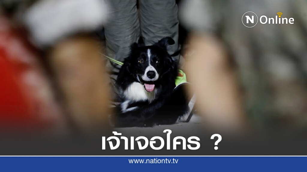 เบรุตลุยค้นหาชีพจรปริศนาในซากตึก