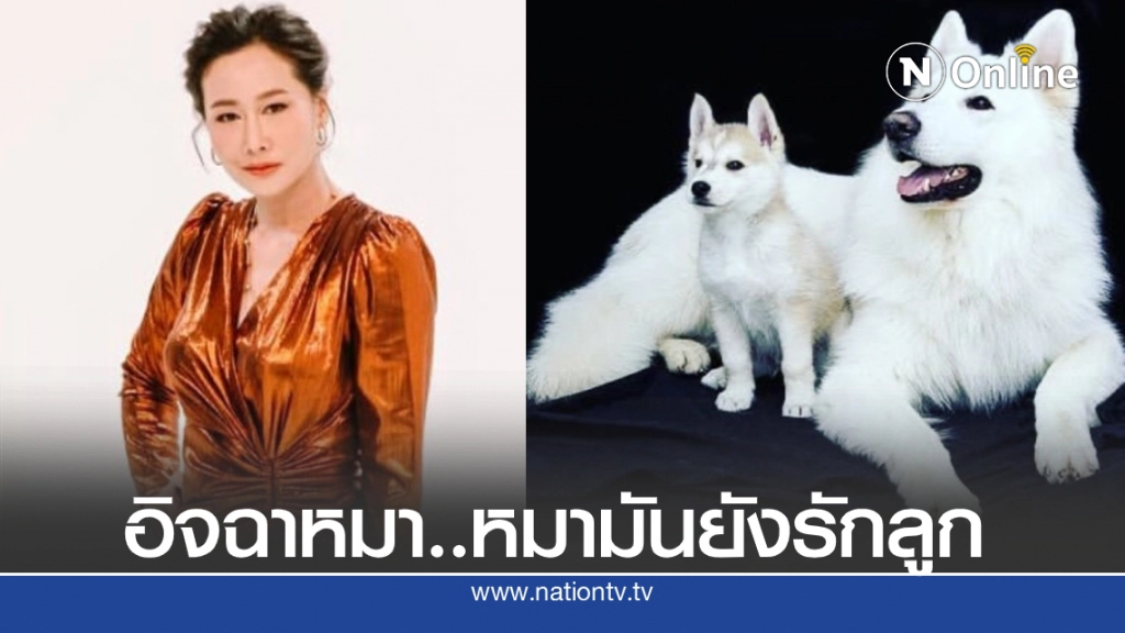 "ติ๊ก กนิษฐรินทร์" แท็กหาศรรามกับแคปชั่นสุดเดือด อิจฉาหมา…หมายังรักลูก