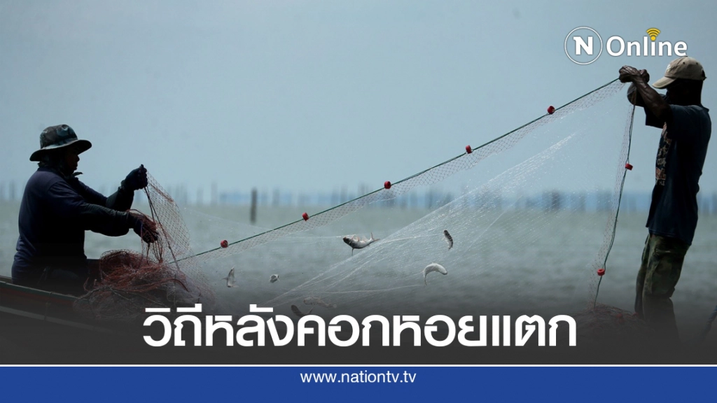 เปิดวิถีประมงพื้นบ้านอ่าวบ้านดอน หลังวันคอกหอยแตก