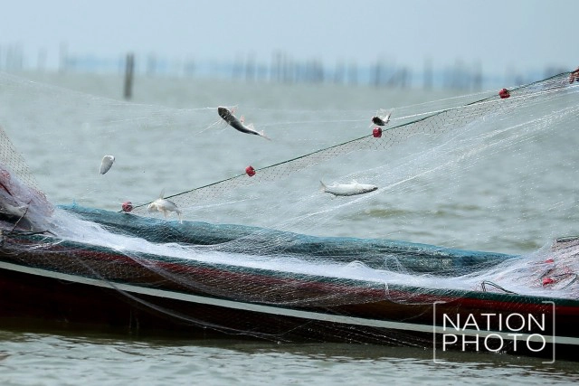 เปิดวิถีประมงพื้นบ้านอ่าวบ้านดอน หลังวันคอกหอยแตก