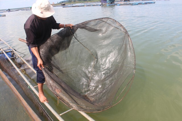 ชาวประมงพื้นบ้านตกปลา-ดักกุ้งฝอยสร้างรายได้เสริม