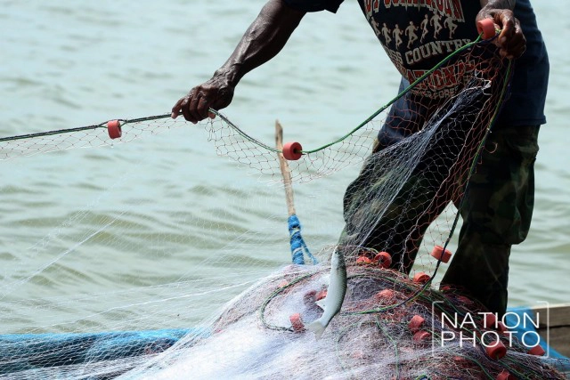 เปิดวิถีประมงพื้นบ้านอ่าวบ้านดอน หลังวันคอกหอยแตก