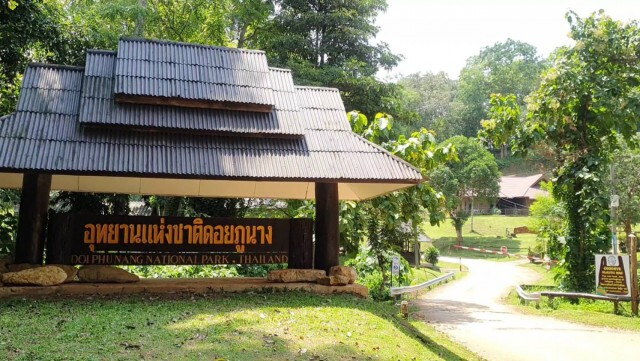 แห่ลอด"ต้นสมพง"อายุกว่า100ปี