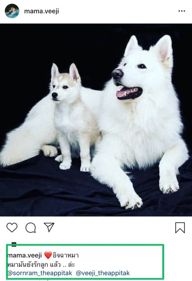 "ติ๊ก กนิษฐรินทร์" แท็กหาศรรามกับแคปชั่นสุดเดือด อิจฉาหมา…หมายังรักลูก