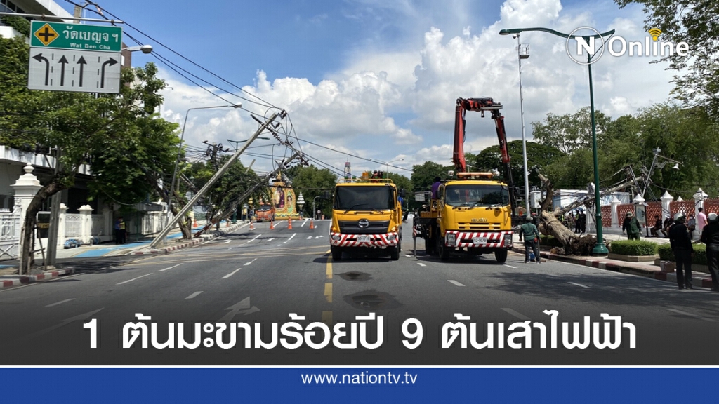 อิทธิพลฟ้าฝนโค่นมะขามร้อยปี แยกวัดเบญฯ ดึง 9 เสาไฟระเนระนาด