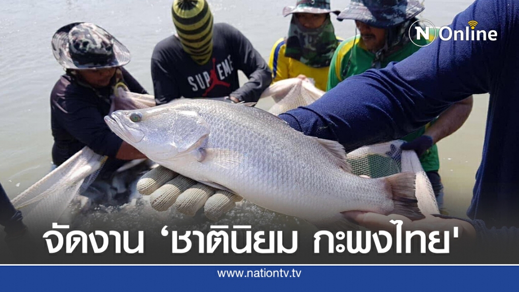 กรมประมงหนุนบริโภค 'ปลากะพงขาว' ลุยฟื้นตลาดระยะยาว