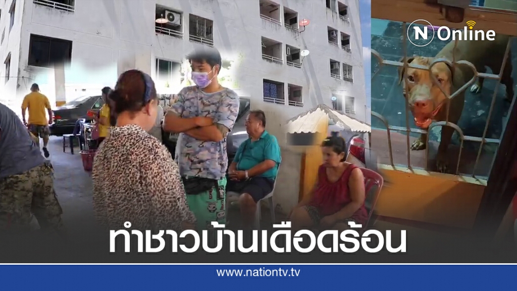 ชาวคอนโดผวาสาวใหญ่ปล่อยพิทบูล7 ตัวเพ่นพ่าน