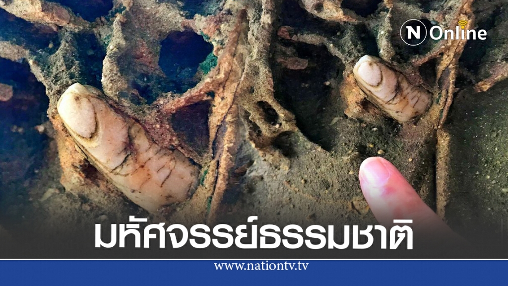 ชาวเน็ตแชร์ พบหินคล้ายนิ้ว บนเกาะคอเขาเหมือนจนต้องพิสูจน์มาเล่าสู่กันฟัง ชาวเน็ตแชร์ พบหินคล้ายนิ้ว บนเกาะคอเขาเหมือนจนต้องพิสูจน์มาเล่าสู่กันฟัง