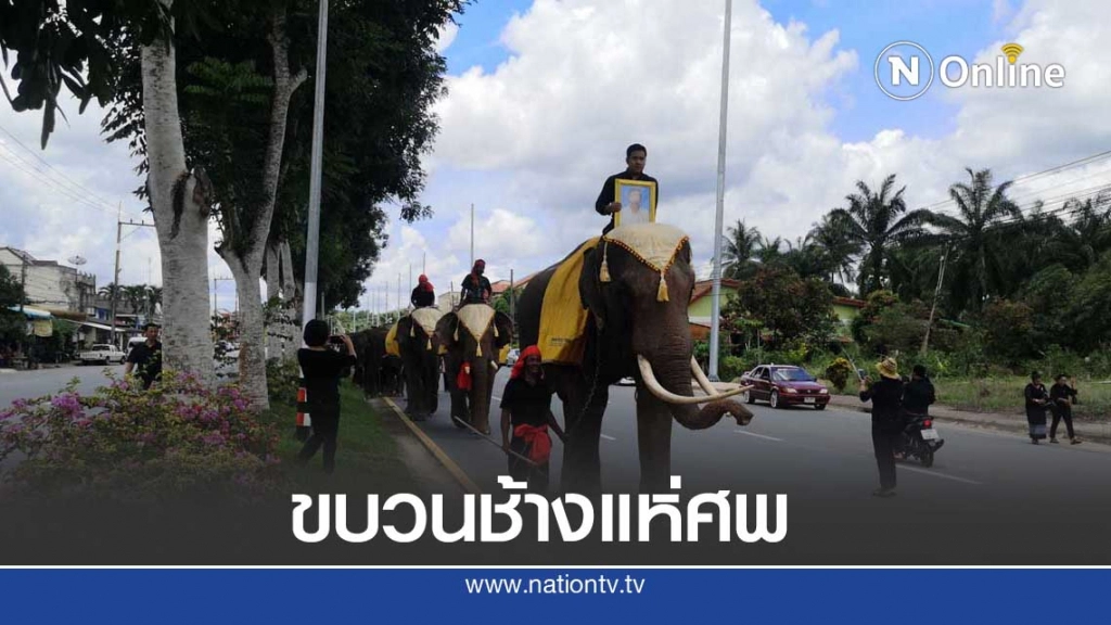 จัดขบวนช้าง4เชือกแห่ศพไว้อาลัย จัดขบวนช้าง4เชือกแห่ศพไว้อาลัย