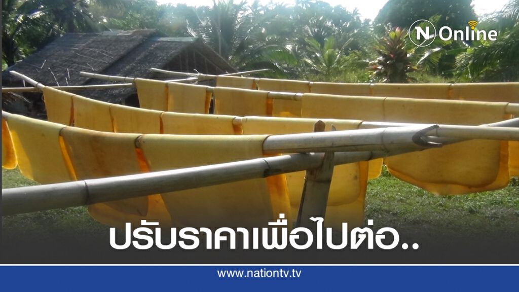 ชี้ราคายางลด ปรับฐานเพื่อไปต่อ ชี้ราคายางลด ปรับฐานเพื่อไปต่อ