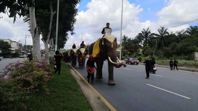 จัดขบวนช้าง4เชือกแห่ศพไว้อาลัย