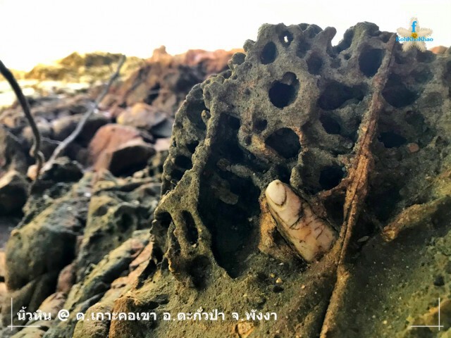 ชาวเน็ตแชร์ พบหินคล้ายนิ้ว บนเกาะคอเขาเหมือนจนต้องพิสูจน์มาเล่าสู่กันฟัง