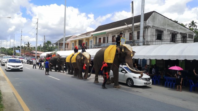 จัดขบวนช้าง4เชือกแห่ศพไว้อาลัย