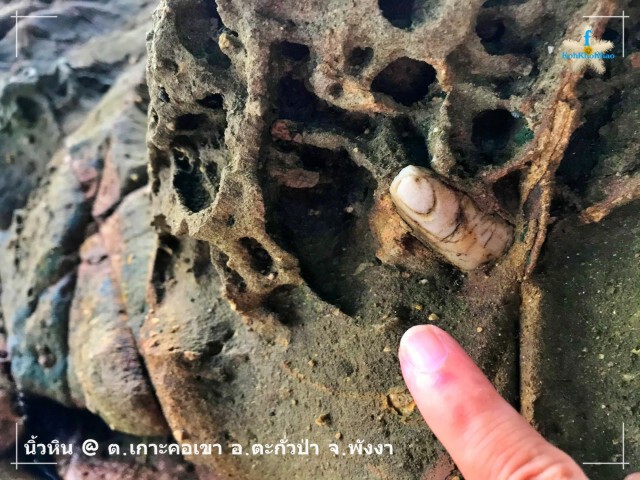 ชาวเน็ตแชร์ พบหินคล้ายนิ้ว บนเกาะคอเขาเหมือนจนต้องพิสูจน์มาเล่าสู่กันฟัง