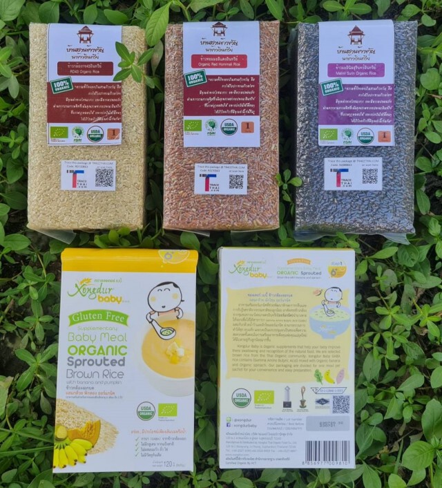 พาณิชย์นำร่อง TraceThai.com ดันข้าวอินทรีย์ขึ้น Blockchain