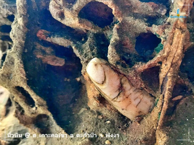 ชาวเน็ตแชร์ พบหินคล้ายนิ้ว บนเกาะคอเขาเหมือนจนต้องพิสูจน์มาเล่าสู่กันฟัง