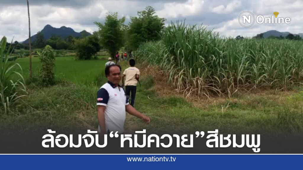 ล้อมจับ "หมีควาย" หลังชาวบ้านถูกทำร้ายเจ็บ 5 คน