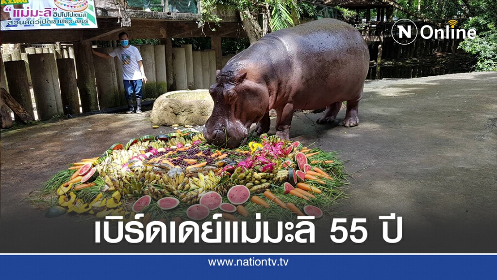 นทท.-แฟนคลับ แห่ร่วมฉลองวันเกิด ฮิปโปฯ แม่มะลิอายุ 55 ปี