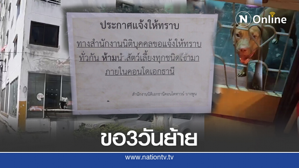 เจ้าของสนัขพิบูล7ตัวขอเวลา3วันย้ายออกจากคอนโด