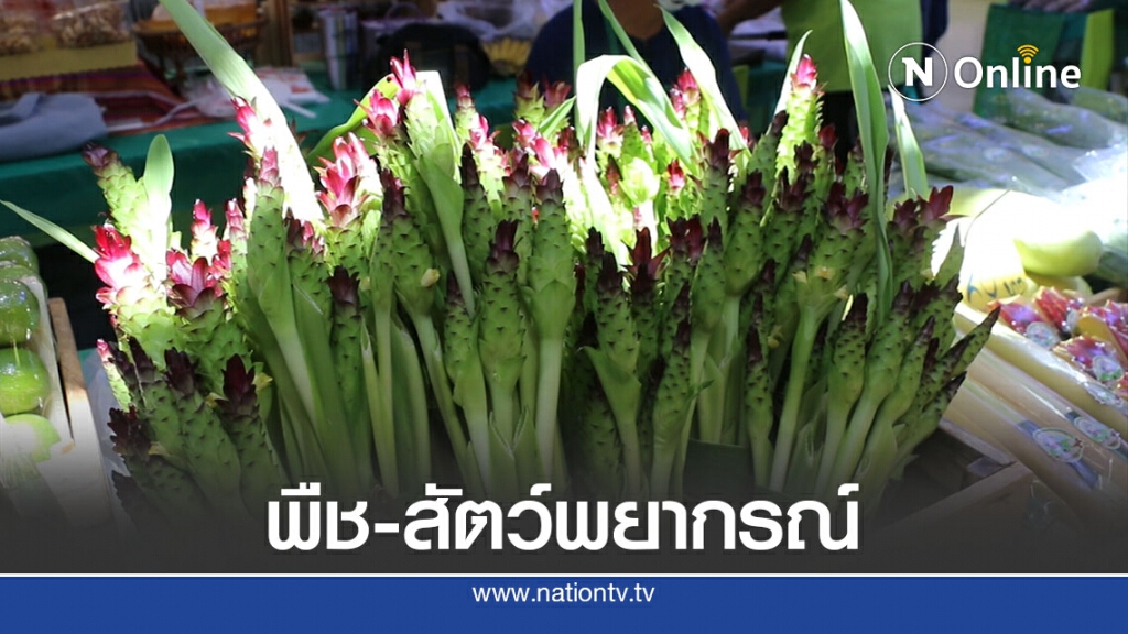 รวมพลชาวนาอีสานเสนอแนวปรับตัวรับการเปลี่ยนแปลงสภาพอากาศ