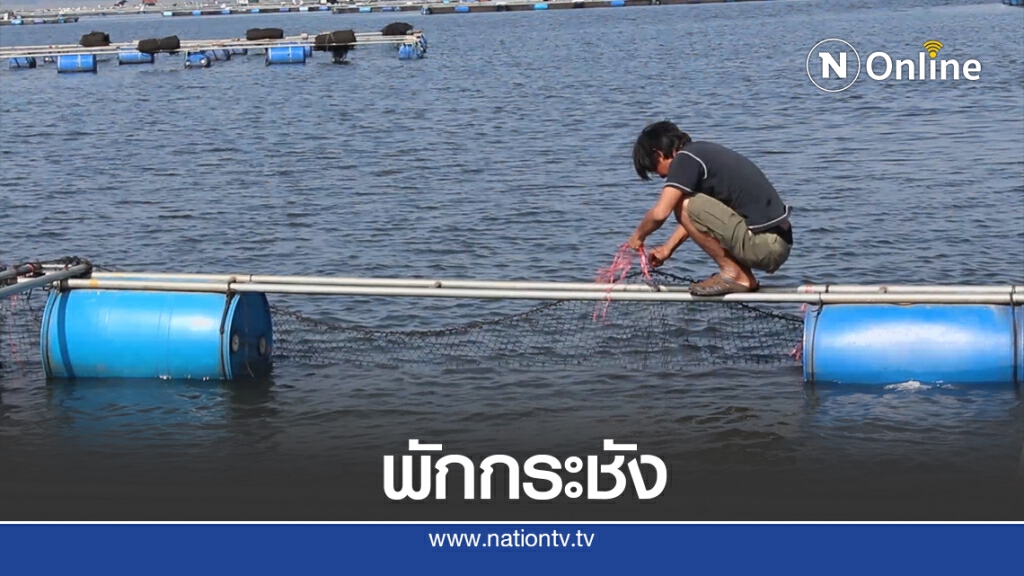 พักเลี้ยงปลากระชัง เขื่อนลำแชะเหลือน้ำ 14 เปอร์เซ็นต์