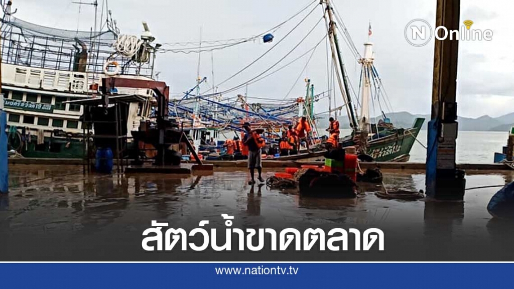 เข้มชายแดนระนอง-เมียนมากระทบเรือเทียบฝั่งสัตว์น้ำขาดตลาด