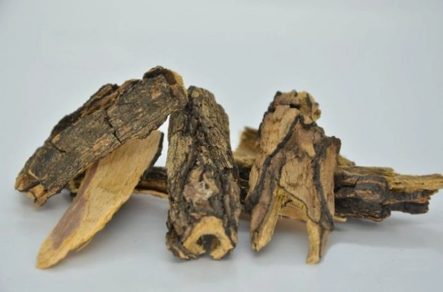 เตือนข่าวปลอม! เปลือกและแก่นต้นตะโกนาสามารถรักษาโรคมะเร็ง