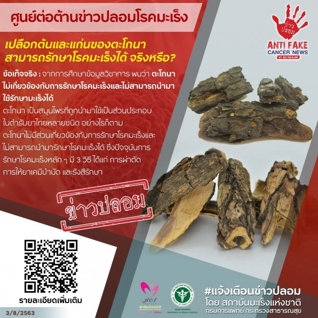 เตือนข่าวปลอม! เปลือกและแก่นต้นตะโกนาสามารถรักษาโรคมะเร็ง